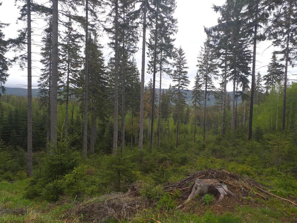Apartament Przy Szlaku Szklarska Poręba Exteriör bild